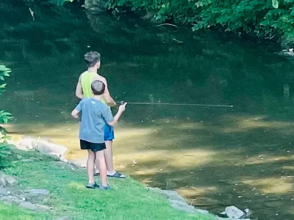 2B8BBD8C-FF2D-40F7-A670-29E5CE35B942