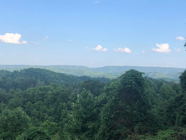 991946F4-75C3-4133-A2FC-5D397A383064