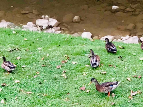 AFE42755-6333-4D48-941E-2CF8E3BAF9DB