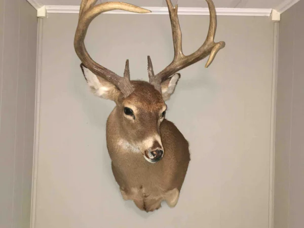 F1CD9590-AF8B-4762-BC7E-223AC4A76673