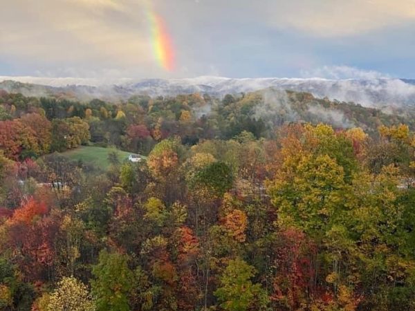 F39DDC7A-C6A6-44FA-BF82-4851AD19BAE0